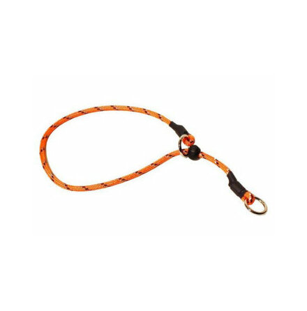 Hundhalsband dressyrstryp orange flera storlekar