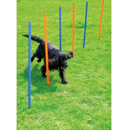 Agility Slalompinnar 12st, Pawise