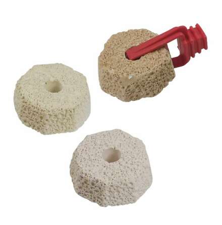 Pimpsten m klmma till gnagare, Nobby 