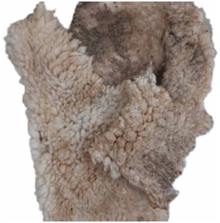 Lammskinn 500gr med ull